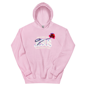 One Moment Hoodie - Rose