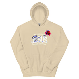 One Moment Hoodie - Rose